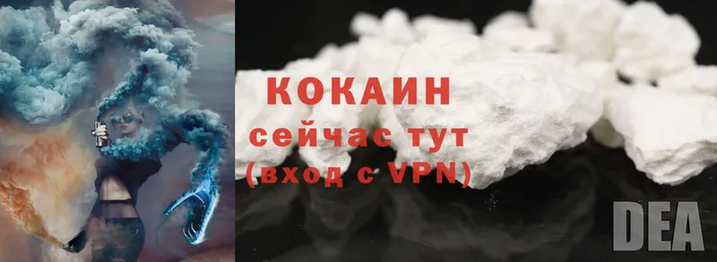 дарк нет наркотические препараты  Костомукша  Cocaine Fish Scale 